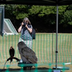 Woman photographing an Owl